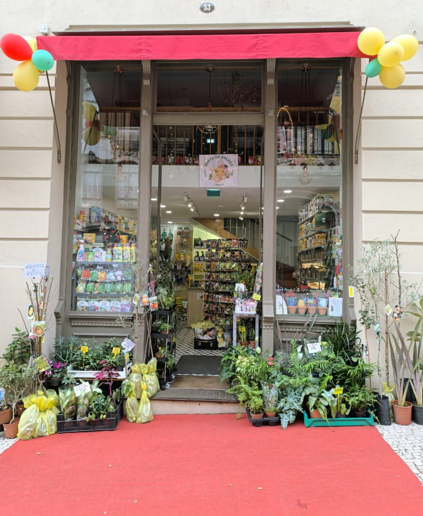 Horta do Bolhão - Slide 1