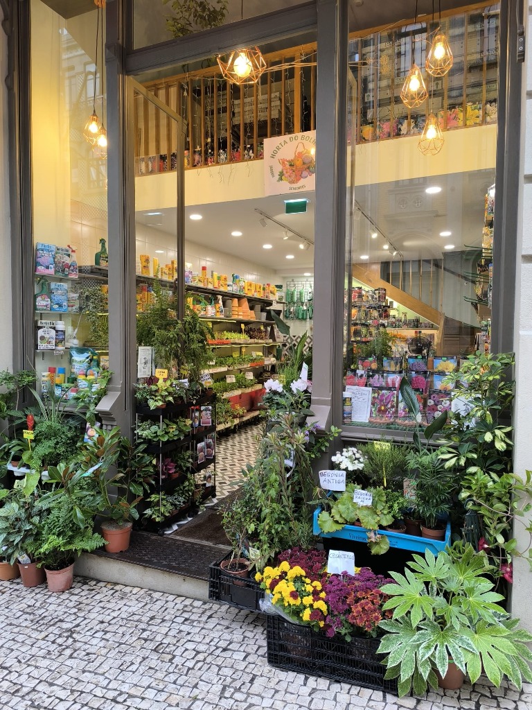 Horta do Bolhão - Slide 2